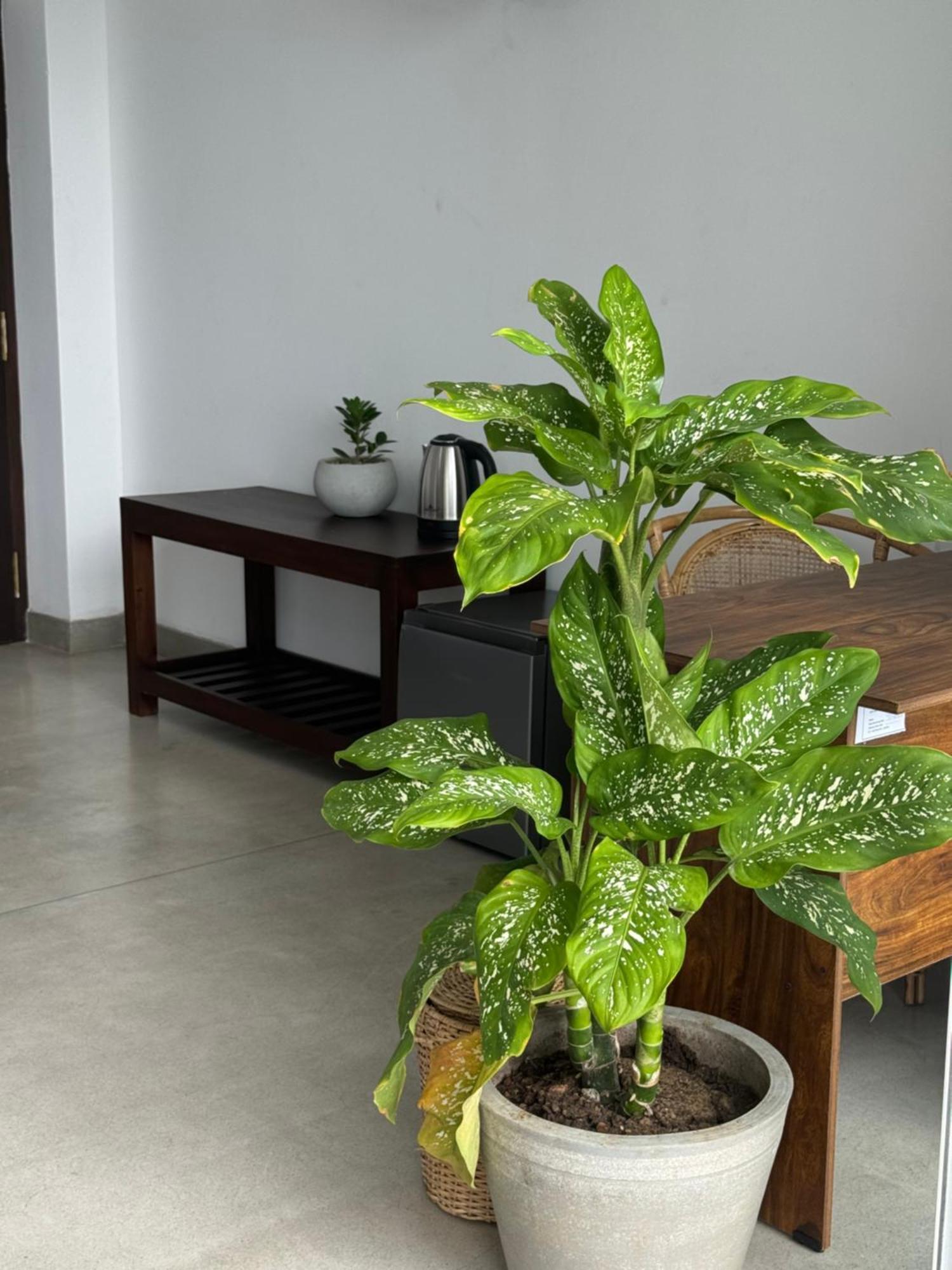 Sapiens Home - Weligama Bay Extérieur photo